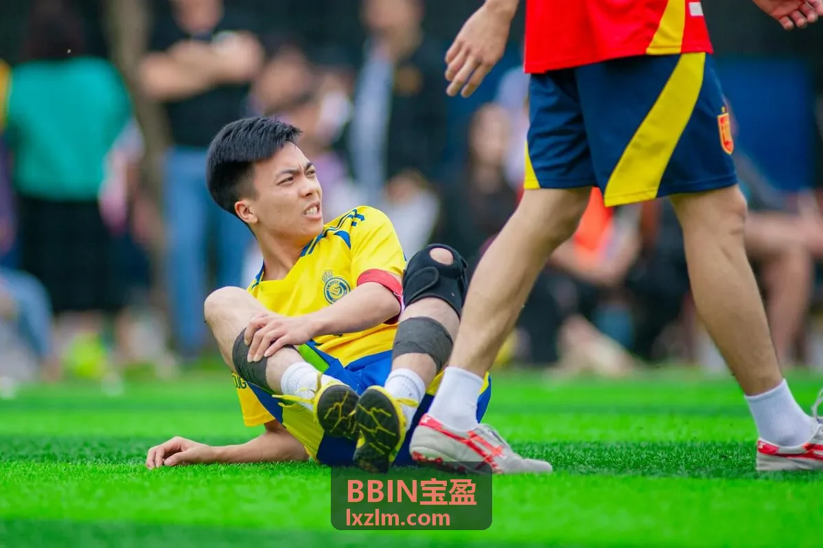 BBIN宝盈会员生态管理